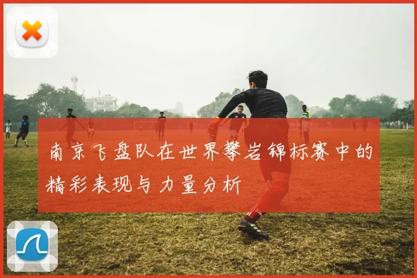 南京飞盘队在世界攀岩锦标赛中的精彩表现与力量分析