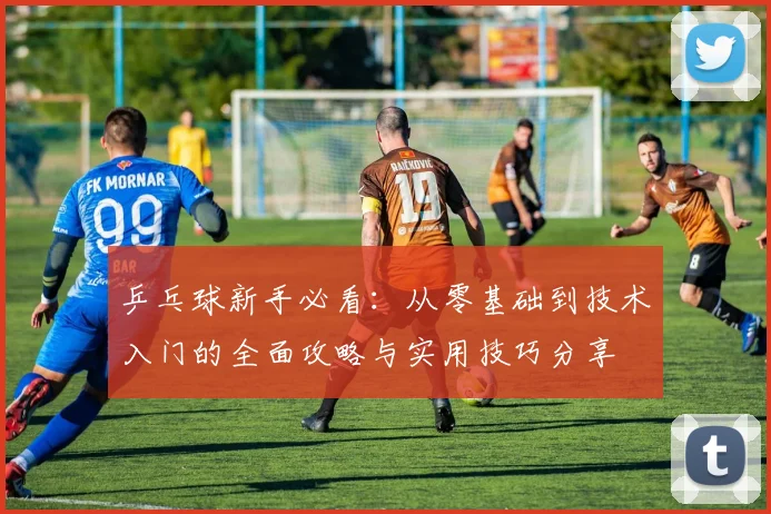 乒乓球新手必看：从零基础到技术入门的全面攻略与实用技巧分享