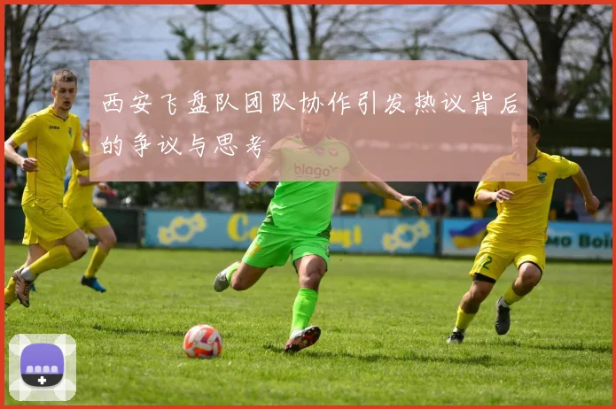 西安飞盘队团队协作引发热议背后的争议与思考